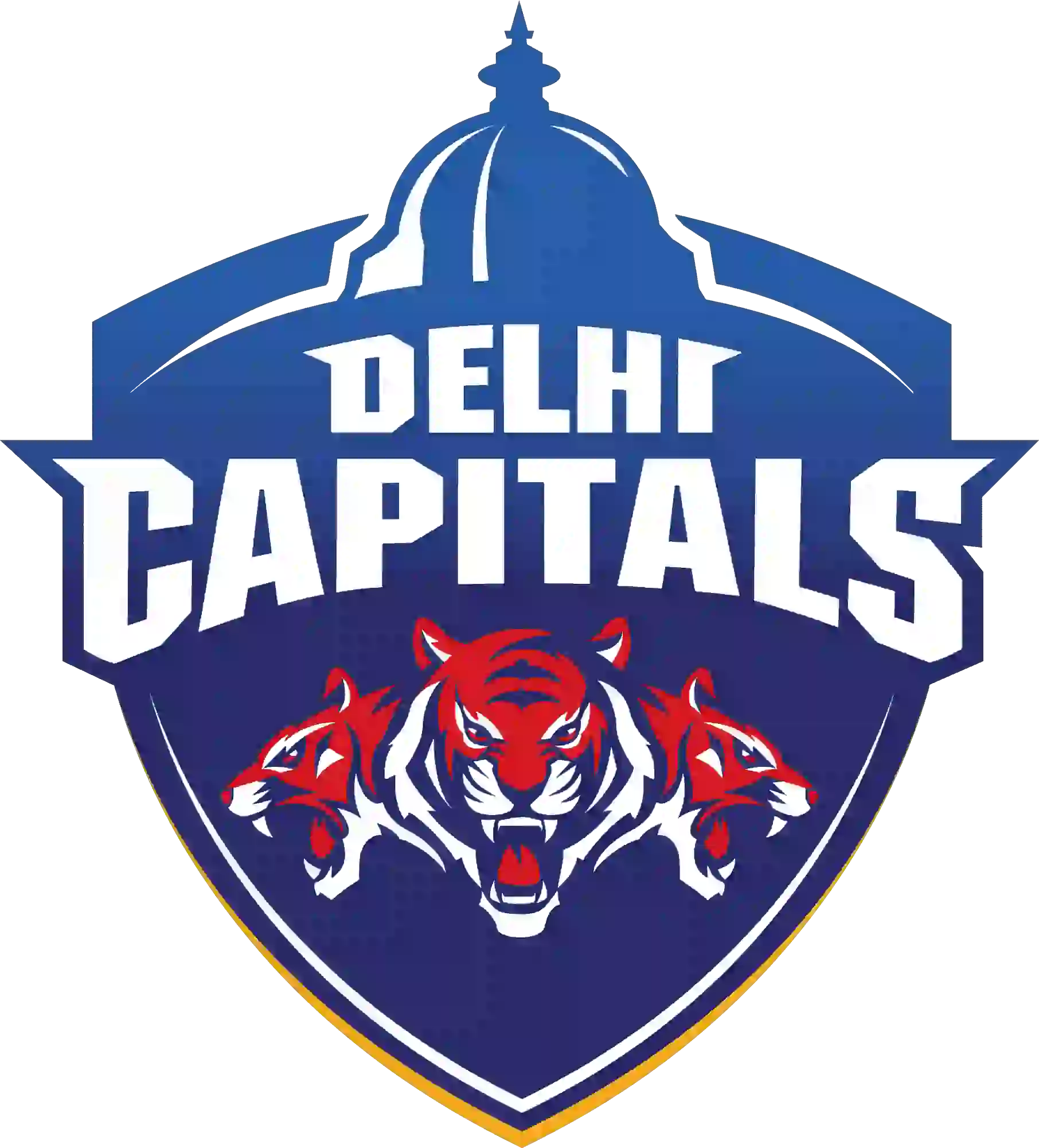 Delhi Capitals (DC) IPL Team Logo